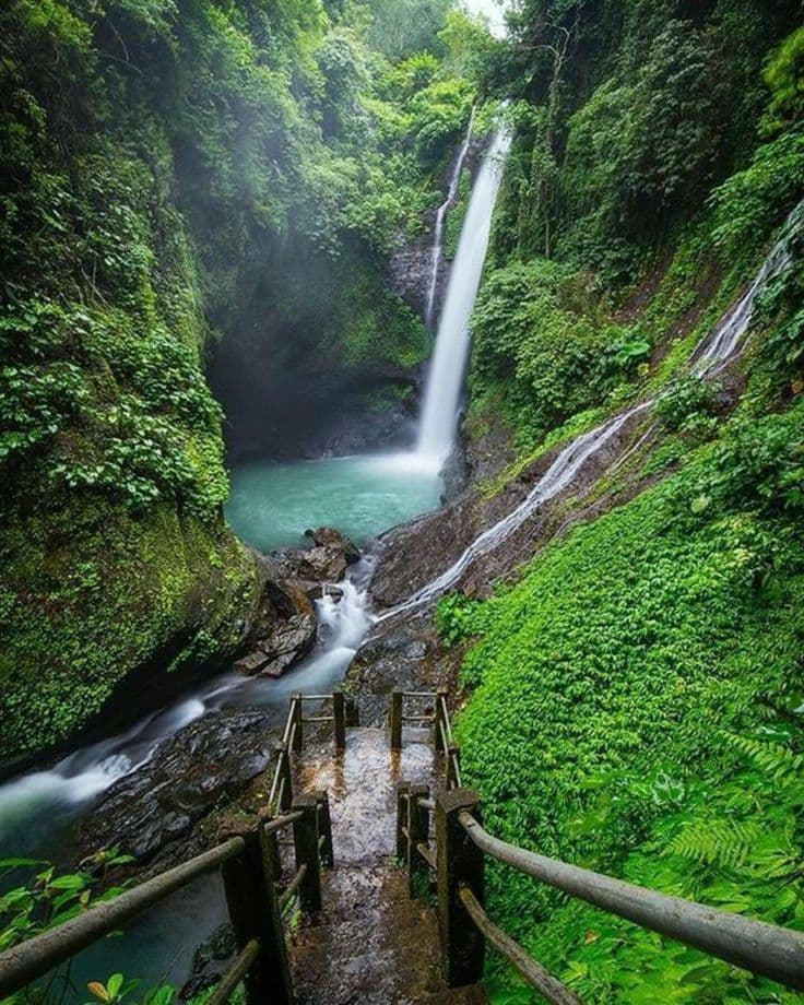 Lovina travel scene