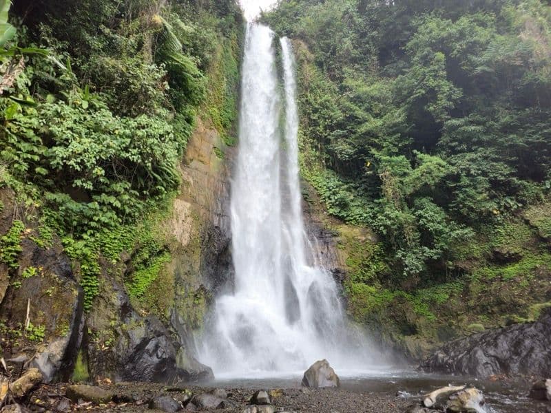 Lovina travel scene
